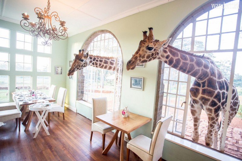 Amazing Hotels: Chương trình dành cho những trái tim mê du lịch 6 Tạp chí Du lịch Wanderlust Tips | Amazing Hotels: Chương trình dành cho những trái tim mê du lịch