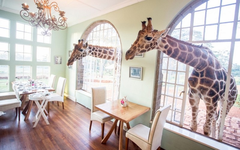 Amazing Hotels: Chương trình dành cho những trái tim mê du lịch 5 Tạp chí Du lịch Wanderlust Tips | Chương trình dành cho những trái tim mê du lịch