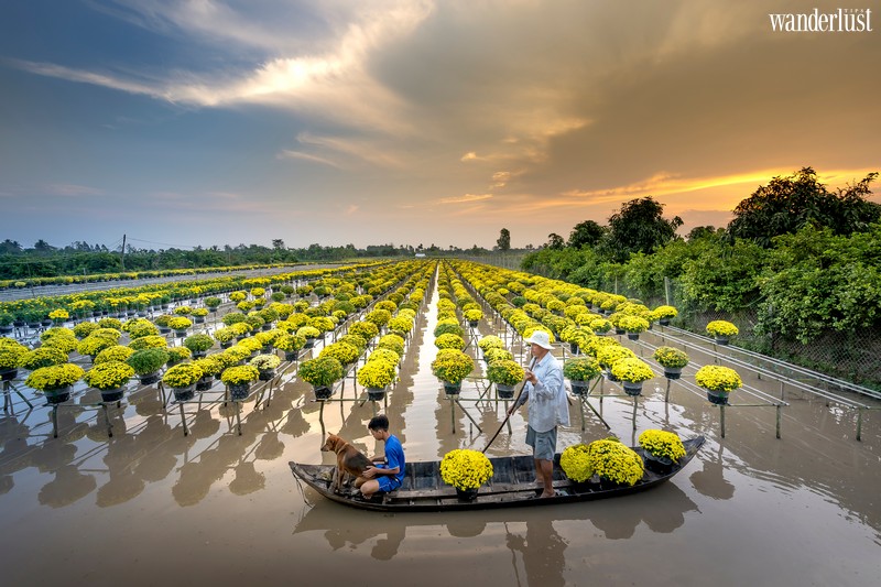 Tạp chí Du lịch Wanderlust Tips | Có làng hoa Sa Đéc rực rỡ ngày cận Tết