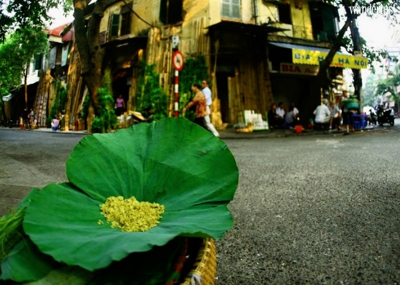 Tạp chí du lịch Wanderlust Tips | món đồ uống làm từ Cốm mùa thu Hà Nội