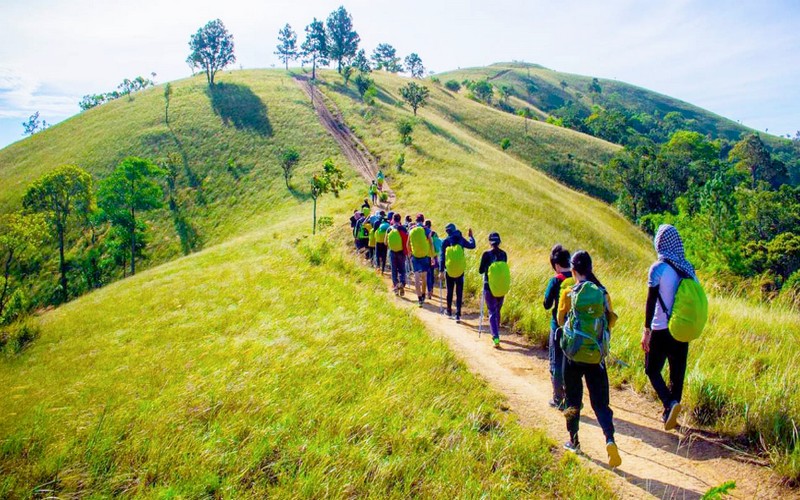 Tạp chí du lịch Wanderlust Tips | Tà Năng Phan Dũng cung đường trekking rùng rợn ở Việt Nam