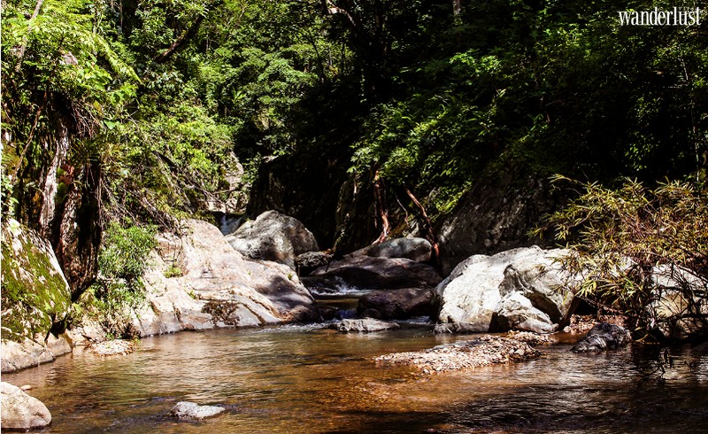 Cung đường trekking hàng đầu gọi tên Tà Năng - Phan Dũng 10 Tạp chí du lịch Wanderlust Tips | Tà Năng Phan Dũng cung đường trekking rùng rợn ở Việt Nam