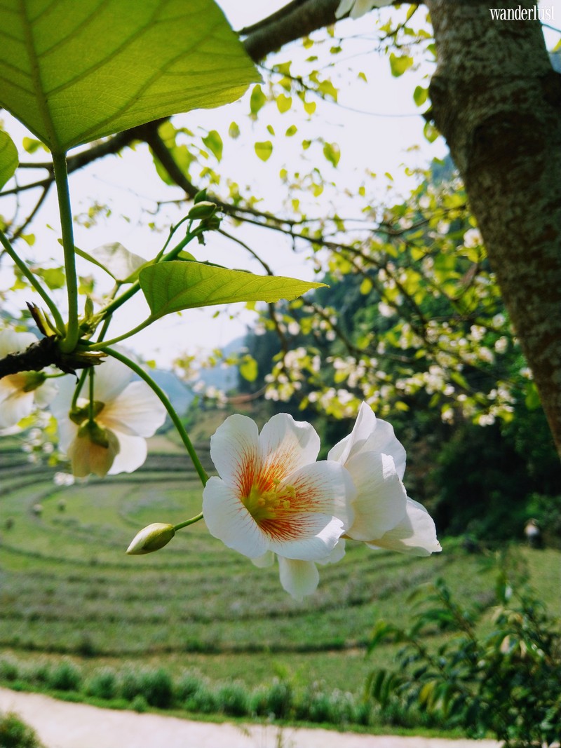 Nghe tháng Tư hát khúc giao mùa 12 Tạp chí Du lịch Wanderlust Tips | Nghe tháng Tư hát khúc giao mùa