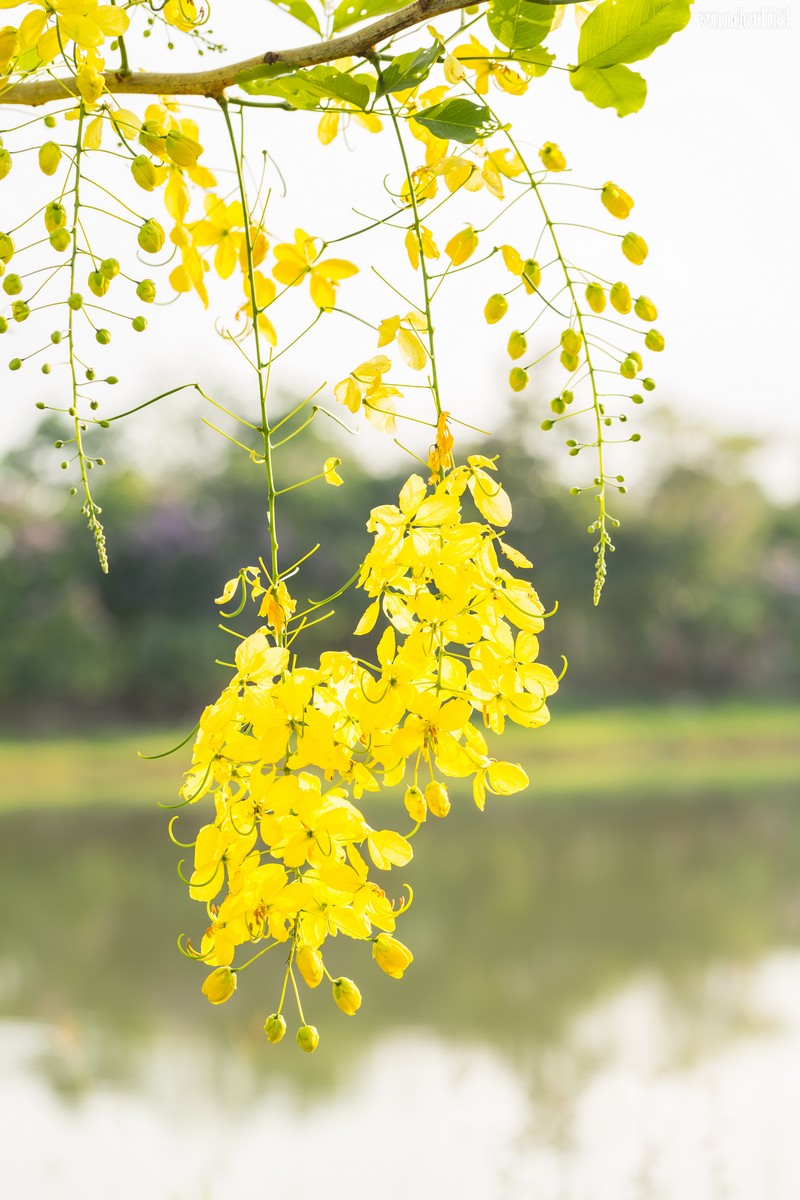 Nghe tháng Tư hát khúc giao mùa 8 Tạp chí Du lịch Wanderlust Tips | Nghe tháng Tư hát khúc giao mùa