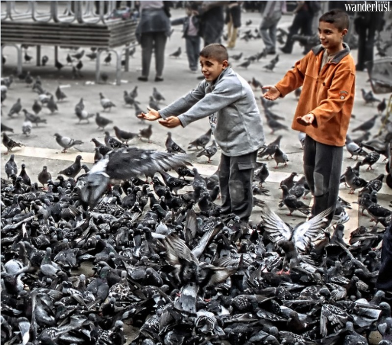 Tạp chí Du lịch Wanderlust Tips | Những luật lệ kì lạ trên thế giới bạn cần biết