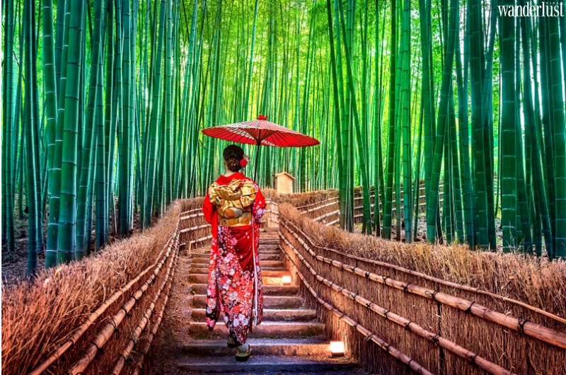 Những 'lá phổi xanh' độc lạ chứng minh sự kỳ diệu của thiên nhiên 9 Tạp chí Du lịch Wanderlust Tips | Khám phá những lá phổi xanh kì lạ của Trái Đất