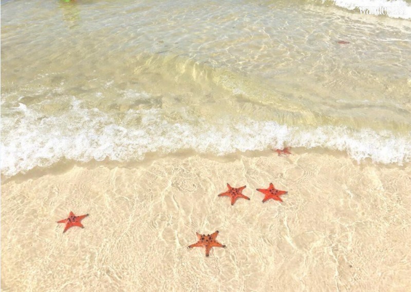 Trách nhiệm ở đâu từ chuyện sống ảo thiếu hiểu biết với sao biển Phú Quốc? 8 Tạp chí Du lịch Wanderlust | Trách nhiệm bảo vệ môi trường biển