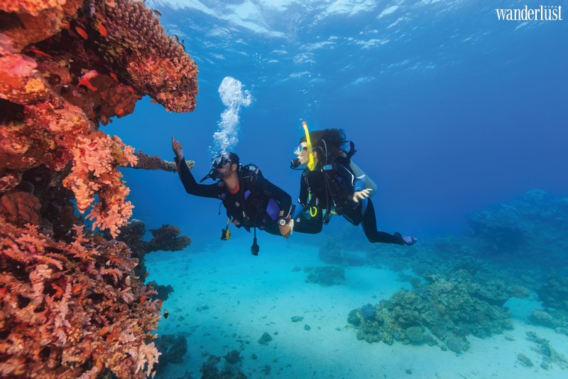Việt Nam và những trải nghiệm độc nhất 11 Tạp chí Du lịch Wanderlust Tips | Việt Nam và những trải nghiệm độc nhất