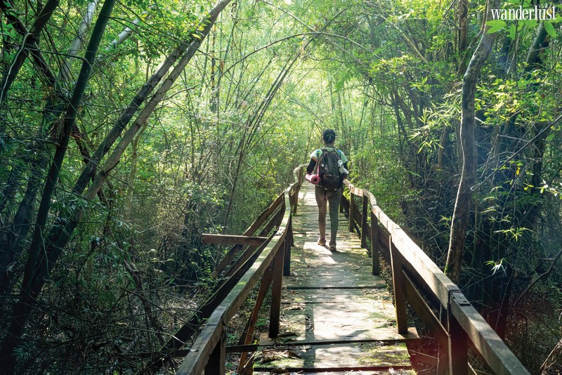 Việt Nam và những trải nghiệm độc nhất 13 Tạp chí Du lịch Wanderlust Tips | Việt Nam và những trải nghiệm độc nhất