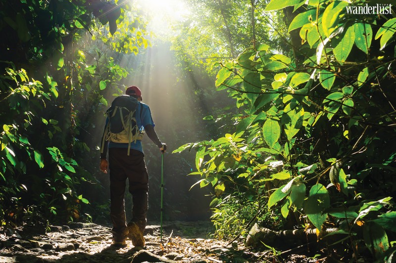 Xu hướng du lịch sức khỏe lên ngôi 6 Tạp chí Du lịch Wanderlust Tips | Xu hướng du lịch sức khỏe lên ngôi
