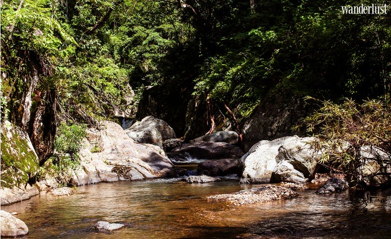 Tạp chí du lịch Wanderlust Tips | Tà Năng Phan Dũng cung đường trekking rùng rợn ở Việt Nam