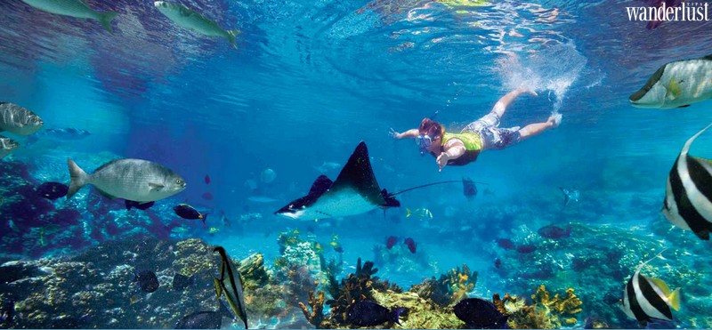 Tạp chí Du lịch Wanderlust Tips | Khám phá đất nước Costa Rica kì thú