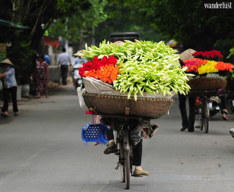 Tạp chí Du lịch Wanderlust Tips | Nghe tháng Tư hát khúc giao mùa