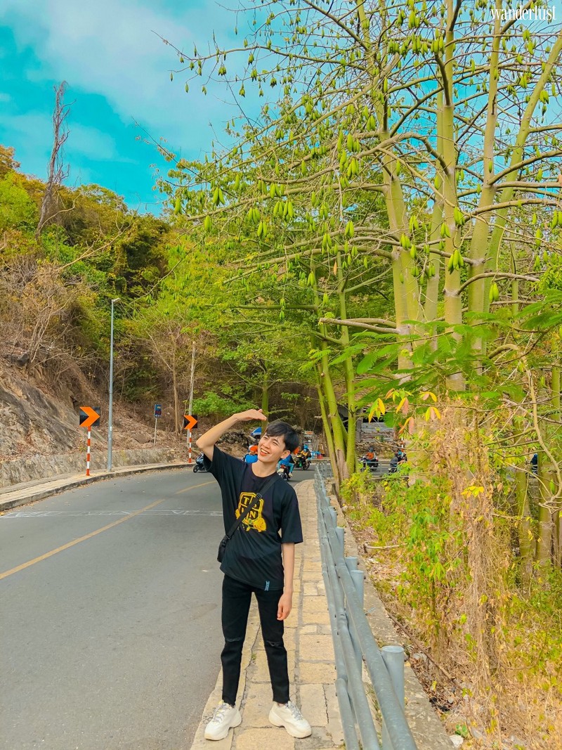 Sài Gòn, Vũng Tàu, Đà Lạt và những cung đường hoa không thể bỏ lỡ! 11 Tạp chí Du lịch Wanderlust Tips | Sài Gòn, Vũng Tàu, Đà Lạt và những cung đường hoa không thể bỏ lỡ!