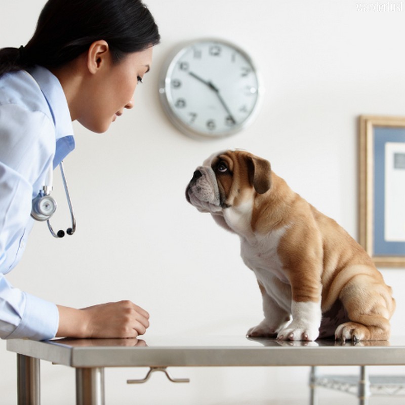 Tạp chí Du lịch Wanderlust Tips | Điểm danh những ngày lễ nửa cuối tháng 4