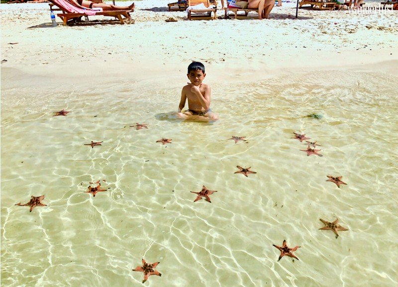 Trách nhiệm ở đâu từ chuyện sống ảo thiếu hiểu biết với sao biển Phú Quốc? 6 Tạp chí du lịch Wanderlust Tips | Sao biển ở Phú Quốc