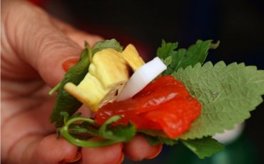 Tạp chí Du lịch Wanderlust Tips | Sứa đỏ món sashimi Việt Nam chỉ mùa hè mới có