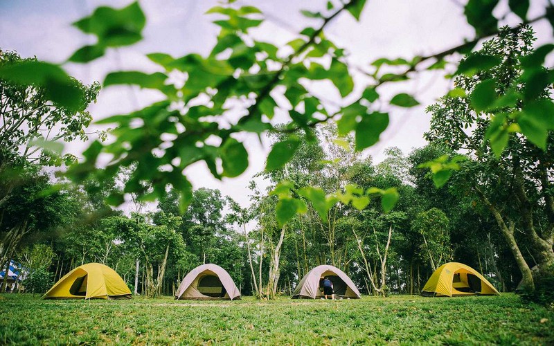 Tạp chí Du lịch Wanderlust Tips | Điểm đến cho chuyến cắm trại gia đình từ Bắc vào Nam