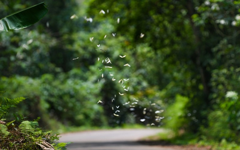 Ninh Bình mùa này còn nhiều điều tuyệt vời hơn thế