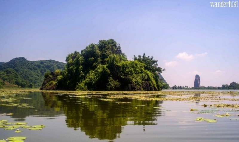 Tạp chí Du lịch Wanderlust Tips | Những địa điểm picnic gần Hà Nội