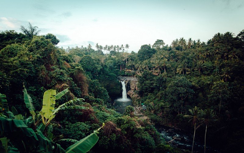 Soundscape: Lắng nghe thanh âm của thiên nhiên