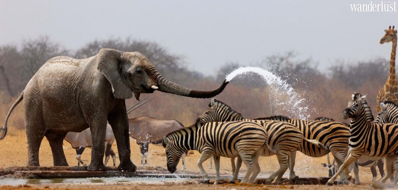 Tạp chí Du lịch Wanderlust Tips | Soundscape khi ta lắng nghe tiếng thì thầm của thiên nhiên