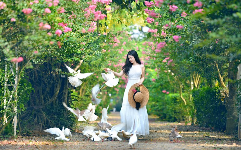 Công viên thực vật cảnh đẹp như mơ được so sánh với các vườn thượng uyển Châu âu ngay tại Hà Nội 5 Tạp chí Du lịch Wanderlust Tips | Lạc vào công viên thực vật cảnh Việt Nam