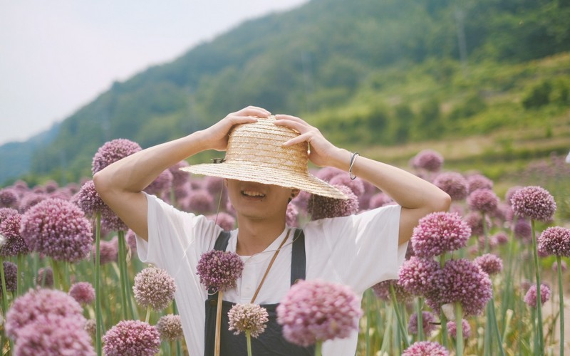 Thích thú mùa hoa tỏi voi ở Hàn Quốc