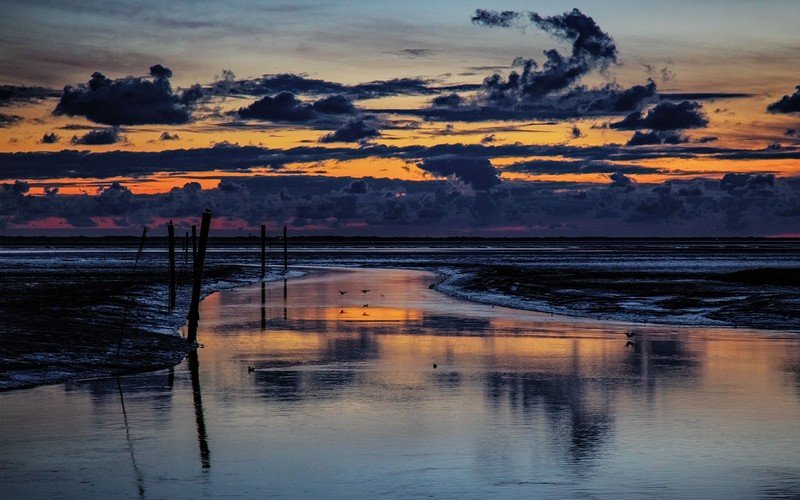wanderlust tips nhung thu vi tai bien wadden01