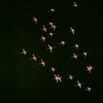 wanderlust tips the gioi qua nhung buc anh chup drone01