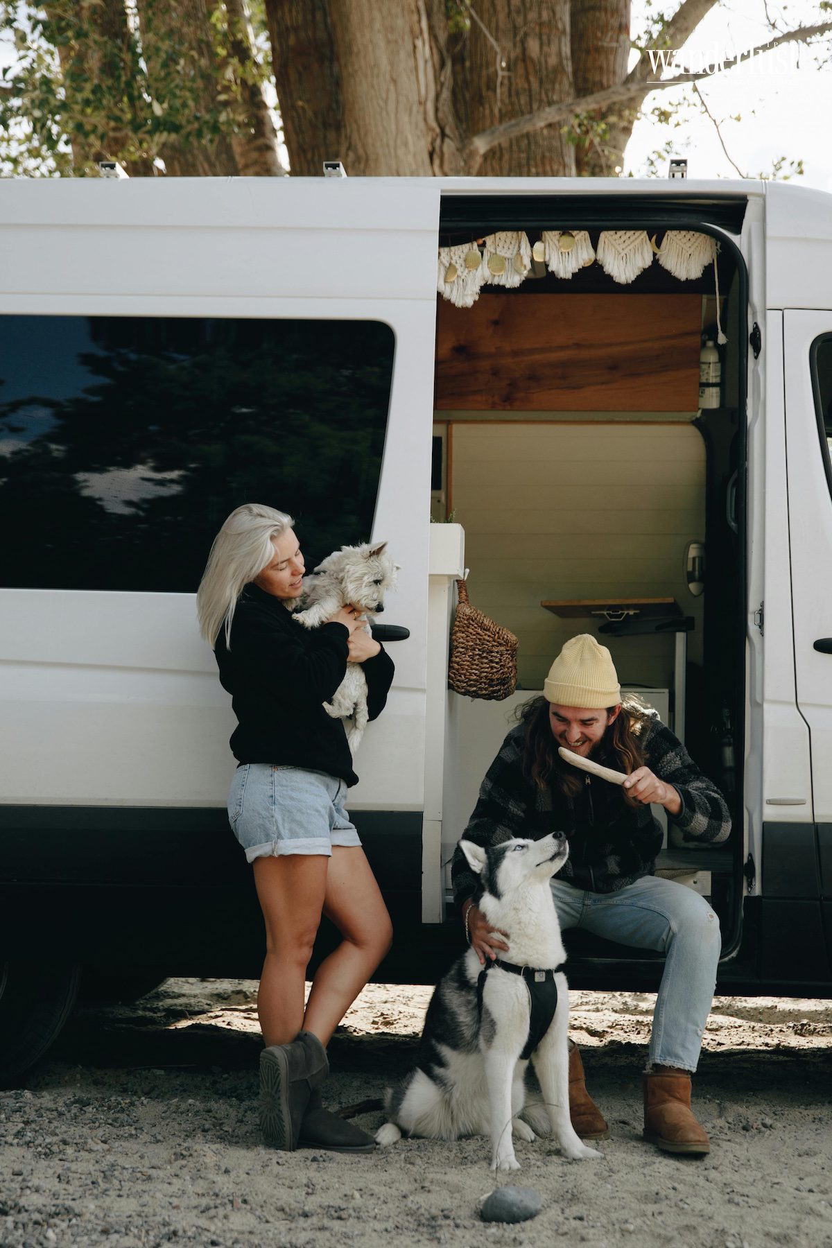 di-du-lich-cung-thu-cung