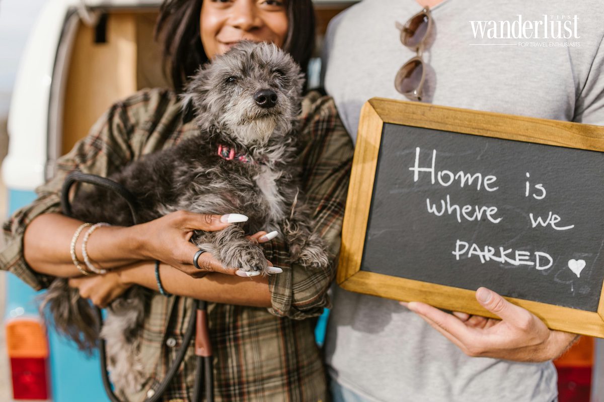 di-du-lich-cung-thu-cung