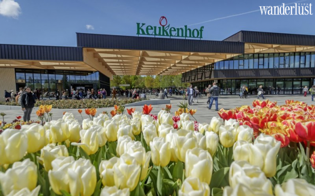 5 địa điểm ngắm hoa tulip đẹp nhất Hà Lan 9 CNDL Ha Lan Keukenhof toan canh transviet 1