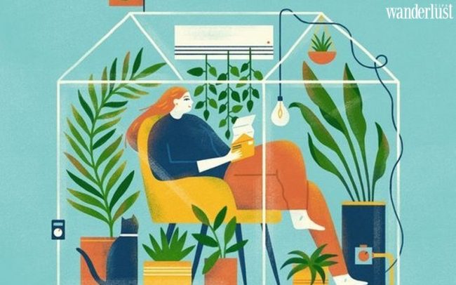 Ở nhà vẫn vui mùa giãn cách - Wanderlust Tips