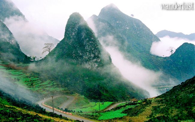 Ngất ngây mùa lúa trên cao nguyên đá Đồng Văn - Wannderlust Tips