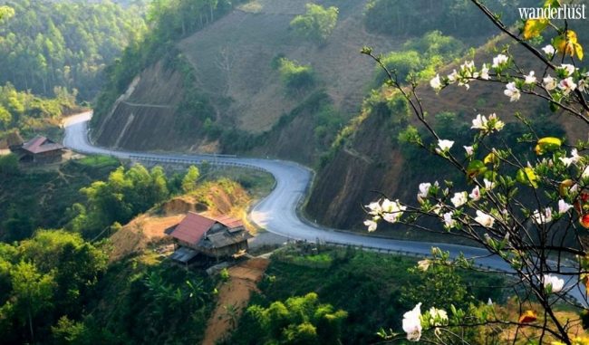 5 cung đường đèo yêu thích dành cho các phượt thủ 12 d 2 4