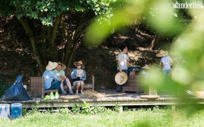 Đến Làng Oa: Ngôi làng xanh kì lạ phía Bắc Đài Loan 8 Đến Làng Oa - ngôi làng xanh kì lạ phía Bắc Đài Loan - Wanderlust Tips