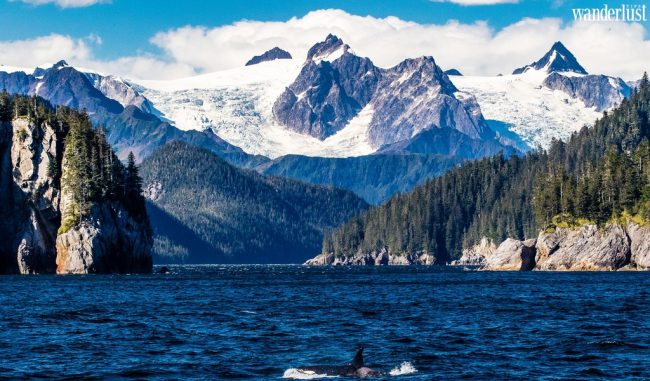 Ghé ngay 5 công viên quốc gia ở Mỹ sẽ được miễn vé vào cửa 25/8 9 Ghé ngay 5 công viên quốc gia ở Mỹ sẽ được miễn vé vào cửa 25/8 - Wanderlust Tips