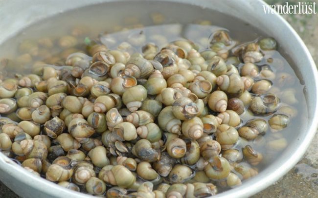 Dân dã ốc gạo miền Tây - Wanderlust Tips