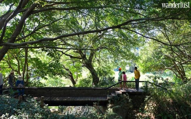 Đến Làng Oa: Ngôi làng xanh kì lạ phía Bắc Đài Loan 7 s 2 1