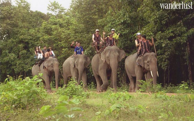 Khám phá những địa điểm trên tiền Việt Nam (Phần 1) 13 vuon quoc gia yok don