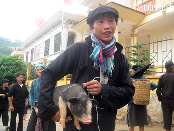 5 1547012223855538373339