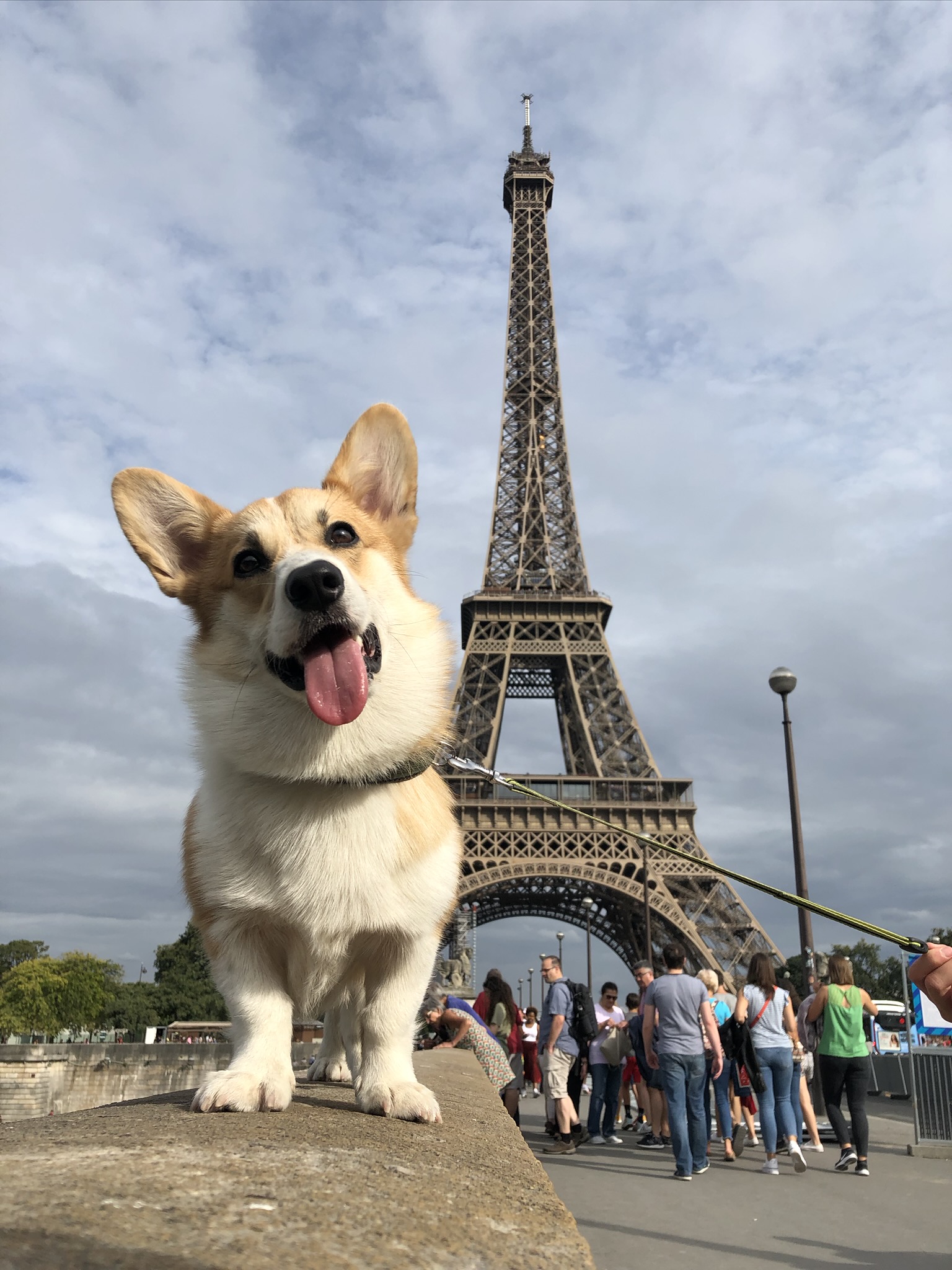 Eifel Paris