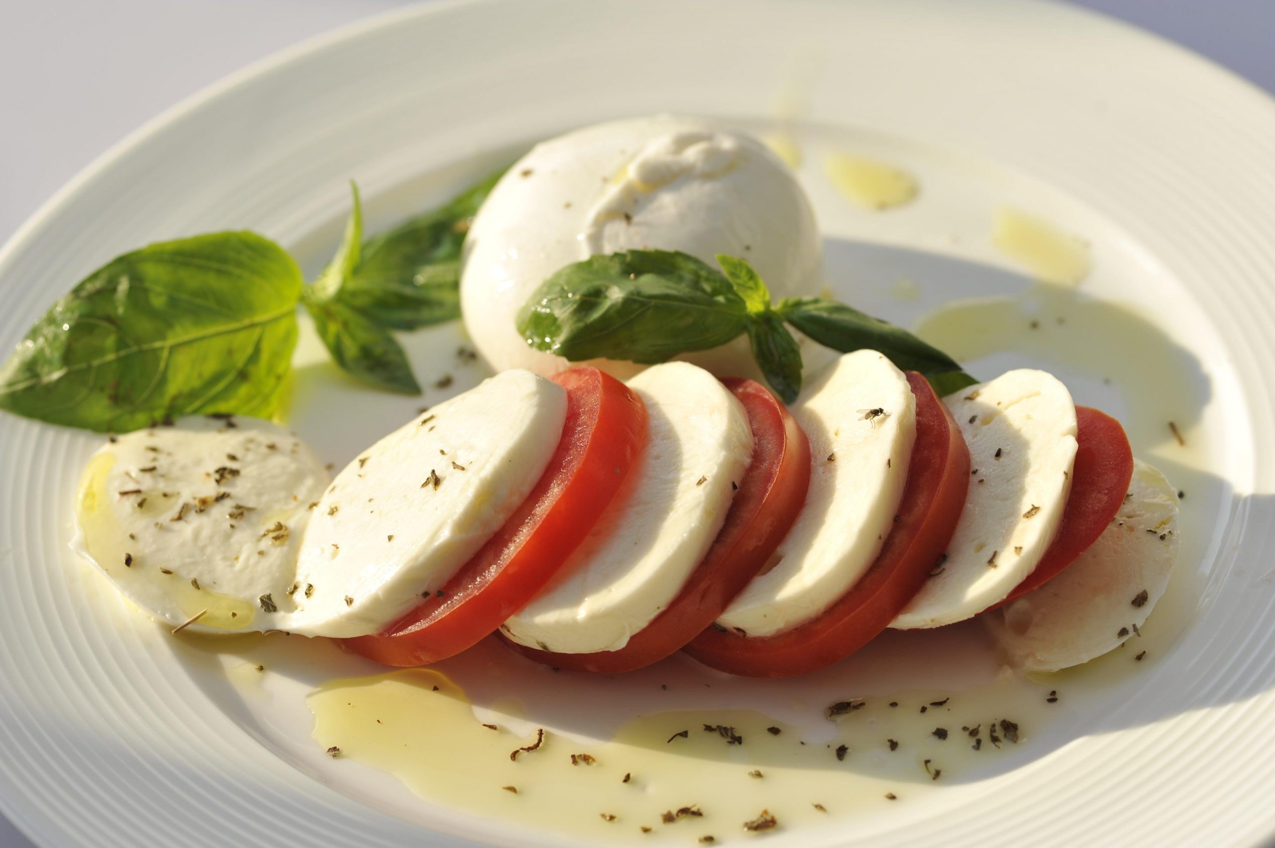 Freshmozzarella A10 Ottimacheese scaled