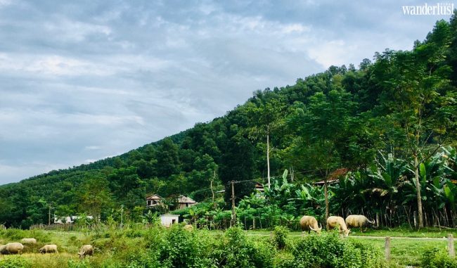 Đi qua những nơi "nhất" Việt Nam - Wanderlust Tips