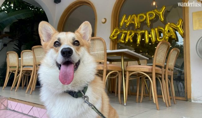 Louis - chàng "đại boss" may mắn được du lịch 5 châu cùng "sen" 9x - Wanderlust Tips