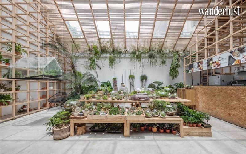 5 quán cà phê mang hơi thở của thiên nhiên ở Hà Nội nhất định phải đến sau giãn cách