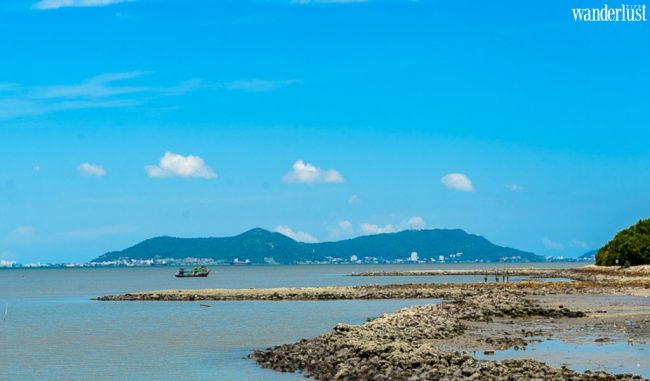 Có gì ở "ốc đảo xanh" Cần Giờ? 14 b 5