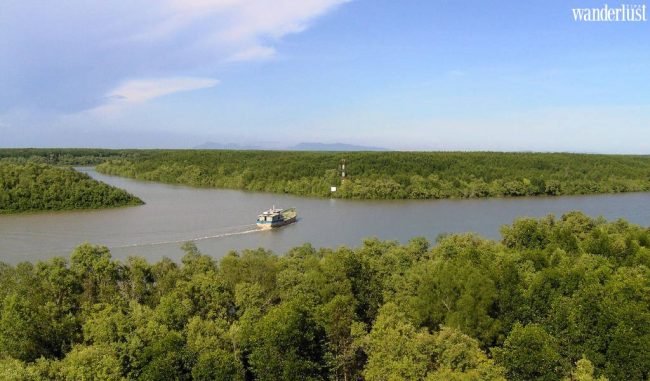 Có gì ở "ốc đảo xanh" Cần Giờ? 6 cg