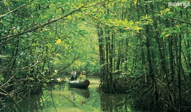 Có gì ở "ốc đảo xanh" Cần Giờ? 7 ff